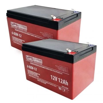 Mongoose CR24V450 24V 12Ah Battery Set